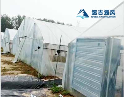 徐州蔬菜大棚種植專用鍍(dù)鋅(xīn)板負壓風機通風降溫工程