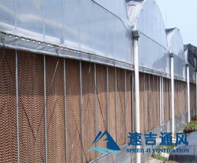 玻璃鋼蔬菜大（dà）棚專用水簾_濕簾負（fù）壓風機（jī）降溫效果圖